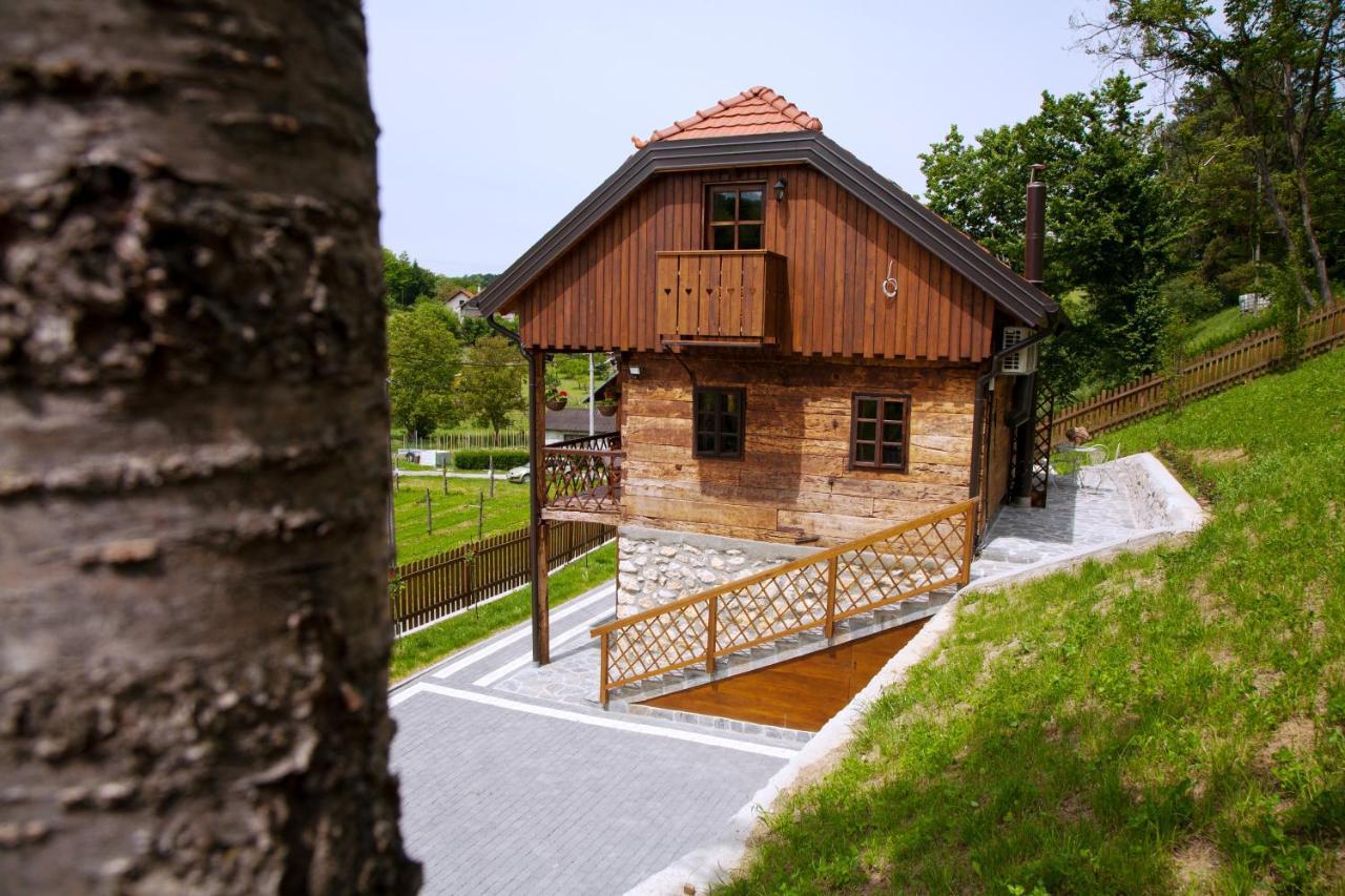 Vila Trnoruzica Tuhelj Exterior photo